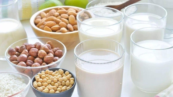 CAS 27215-38-9 E471 ফুড ইমালসিফায়ার গ্লিসারল মনোলোরেট জিএমএল হোয়াইট পাউডার