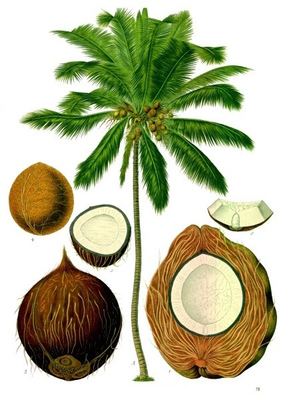 অ্যান্টি এজিং মনো এবং ডিগ্লিসারাইড ইমালসিফায়ার E471 GMS 40