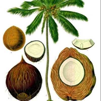 মোম সলিড পাউডার গ্লিসারল মনোস্টিয়ারেট জিএমএস 95% ব্রেড ইমালসিফায়ার